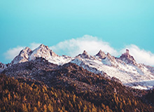 开云体育官网：以科技点亮体育热情，打造更懂你的在线投注平台