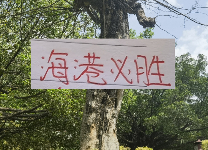 NBA比赛高清视频直播-前有奇塔 现有奥斯卡 海港旧将也喜欢度假途径母队|上海海港|奇塔迪尼|足协杯|奥斯卡-罗梅罗|足协_新浪体育_新浪新闻